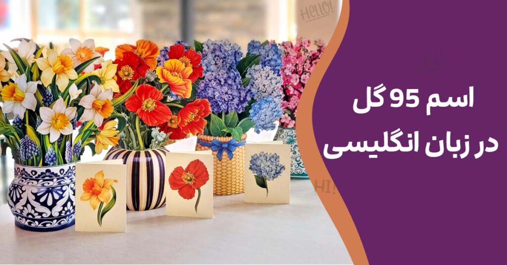 اسم 95 گل در زبان انگلیسی | گل به انگلیسی