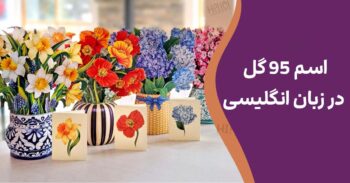 اسم 95 گل در زبان انگلیسی | گل به انگلیسی