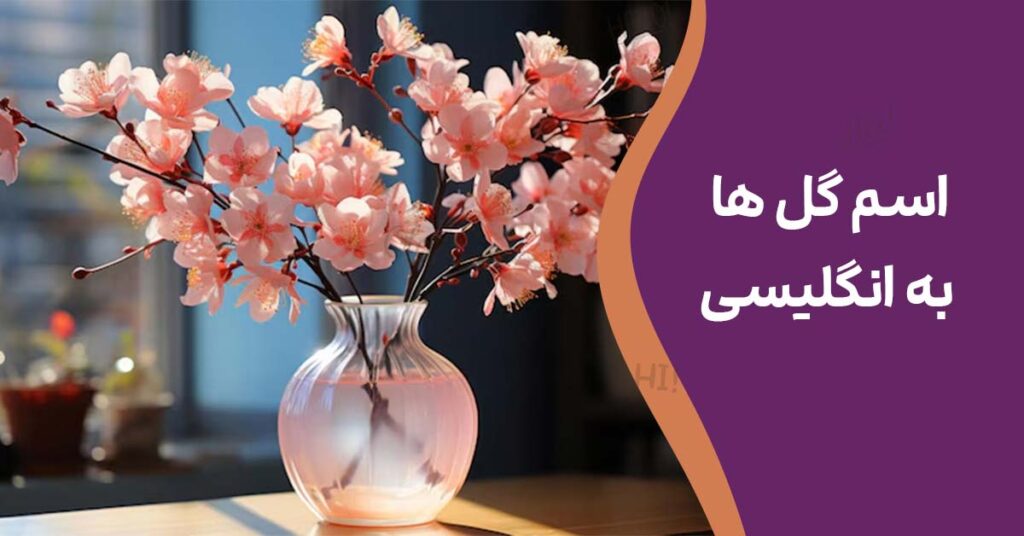 اسم گل ها به انگلیسی