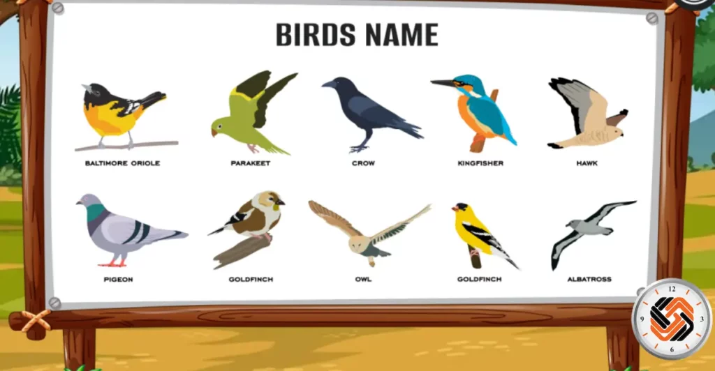 اسامی پرندگان به انگلیسی