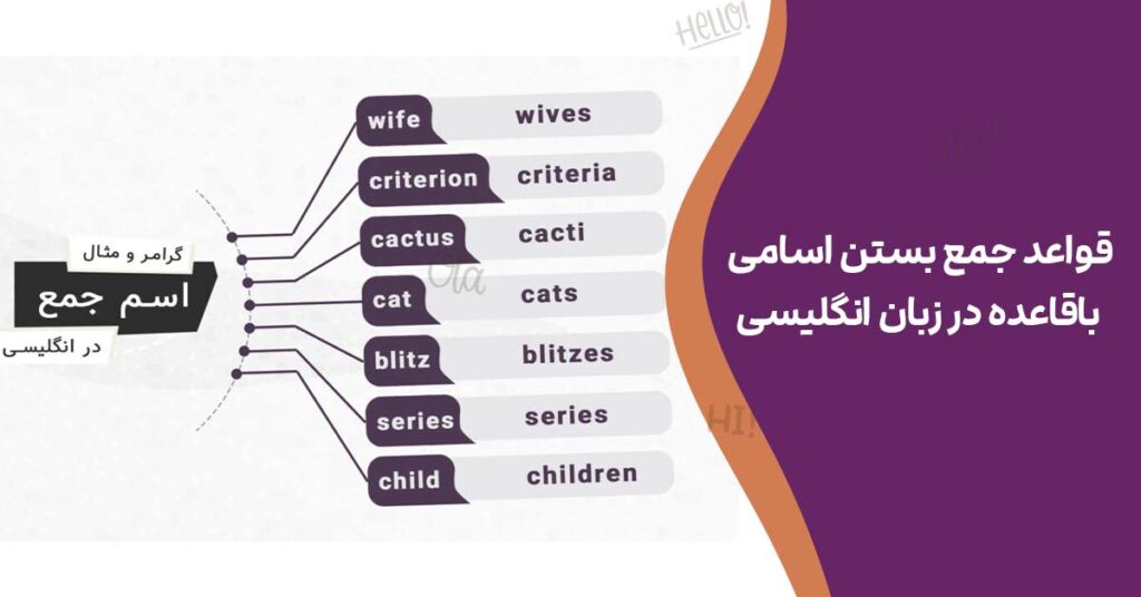 قواعد جمع بستن اسامی باقاعده در زبان انگلیسی