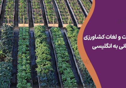 اصطلاحات و لغات کشاورزی و باغبانی به انگلیسی + فعالیت‌ها و ابزار